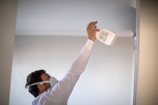 Best Mold Remediation Services  in Langley Park, MD